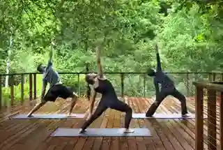 Yoga Area